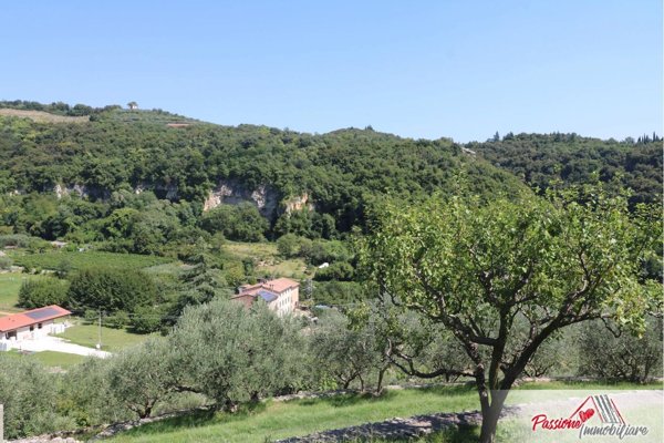 terreno agricolo in vendita a Verona in zona Avesa