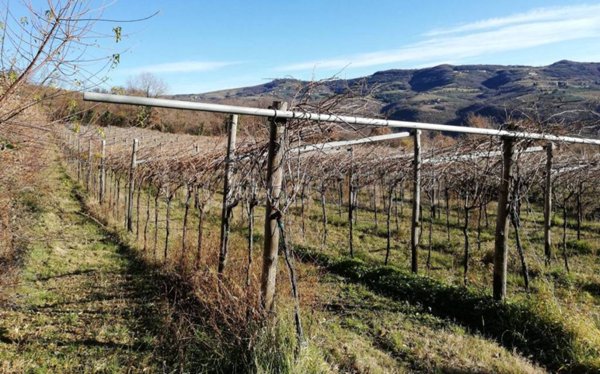 ufficio in vendita a Verona in zona Santa Maria in Stelle