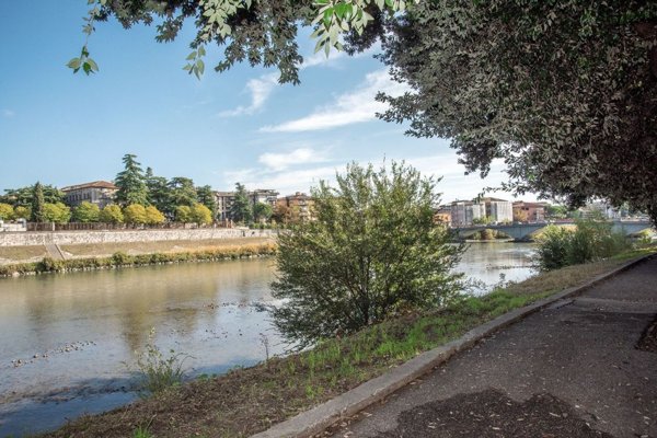 appartamento in vendita a Verona in zona Borgo Trento