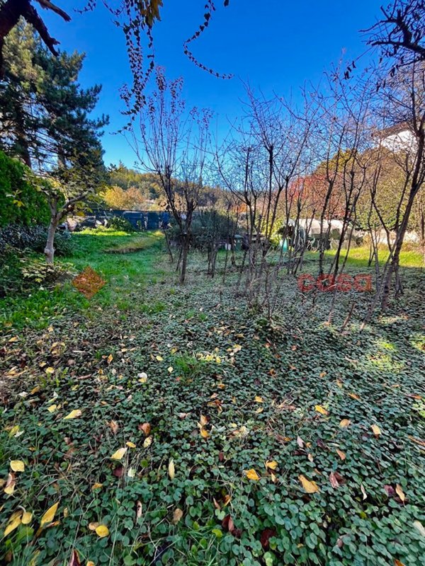 casa indipendente in vendita a Verona in zona Borgo Venezia / Borgo Trieste