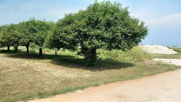 appartamento in vendita a Verona in zona San Massimo all'Adige