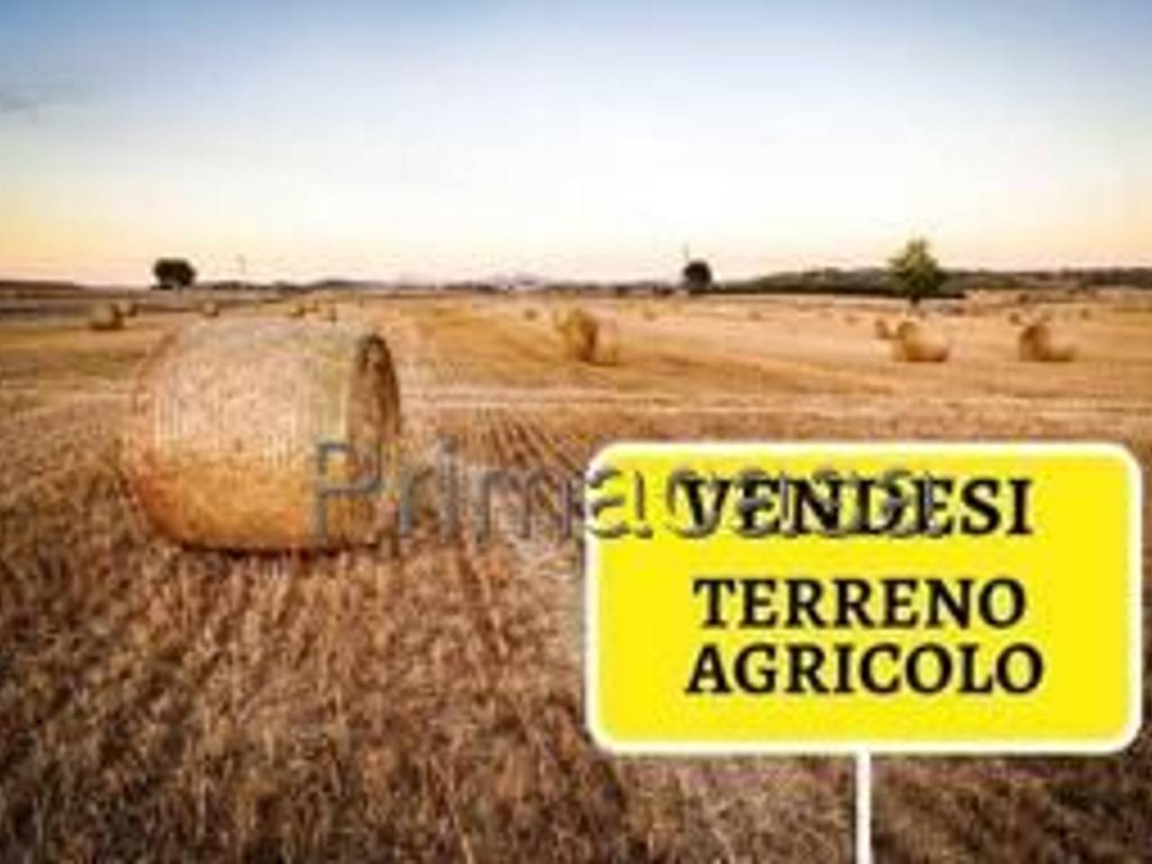 terreno agricolo in vendita a Verona in zona Quinzano
