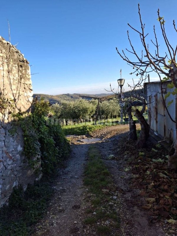 quadrivano in vendita a Verona in zona Santa Maria in Stelle
