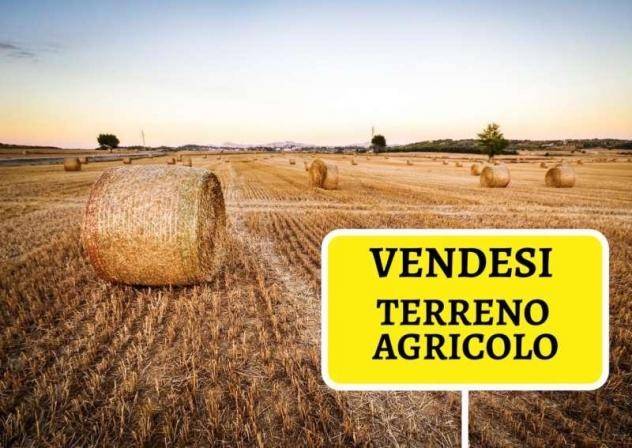 terreno agricolo in vendita a Verona in zona Parona di Valpolicella