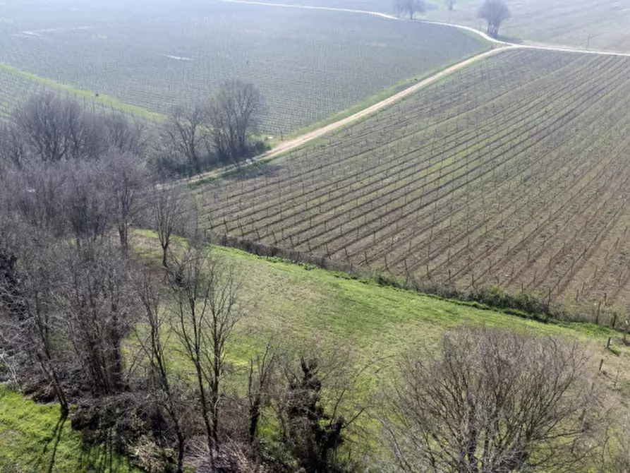 casa indipendente in vendita a Verona