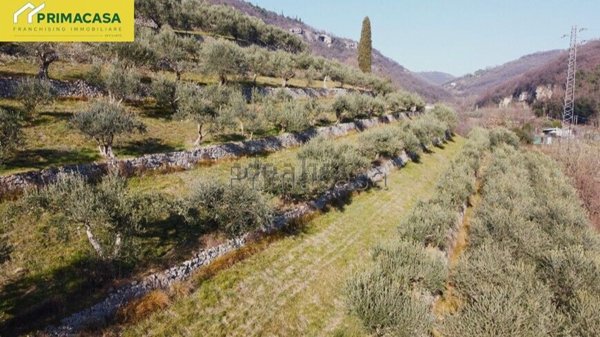 terreno agricolo in vendita a Verona in zona Avesa