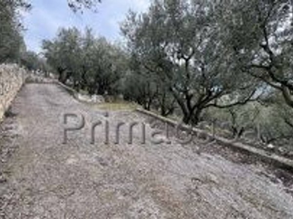 terreno agricolo in vendita a Verona in zona Quinzano