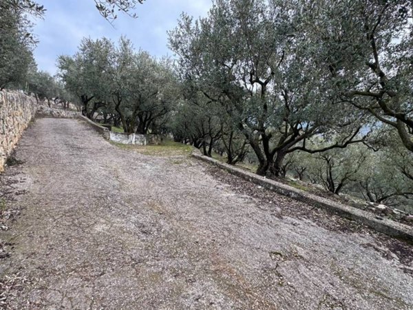 terreno agricolo in vendita a Verona in zona Quinzano
