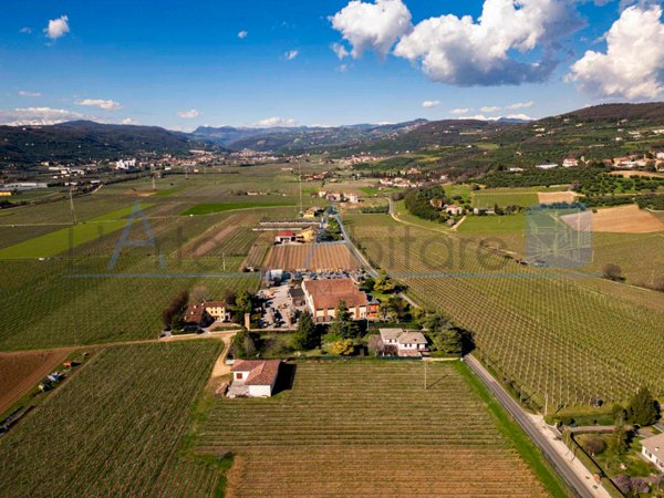 casa indipendente in vendita a Verona in zona Borgo Venezia / Borgo Trieste