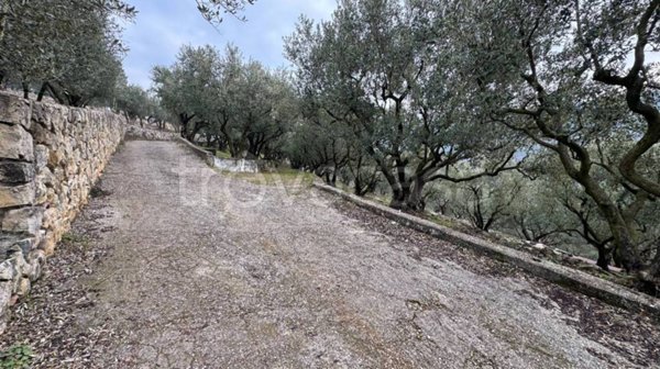 terreno agricolo in vendita a Verona in zona Quinzano