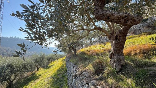 terreno agricolo in vendita a Verona in zona Avesa