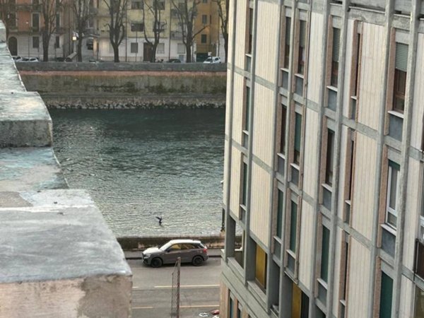 appartamento in vendita a Verona