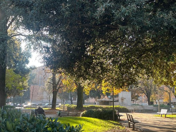 appartamento in vendita a Verona in zona Borgo Milano