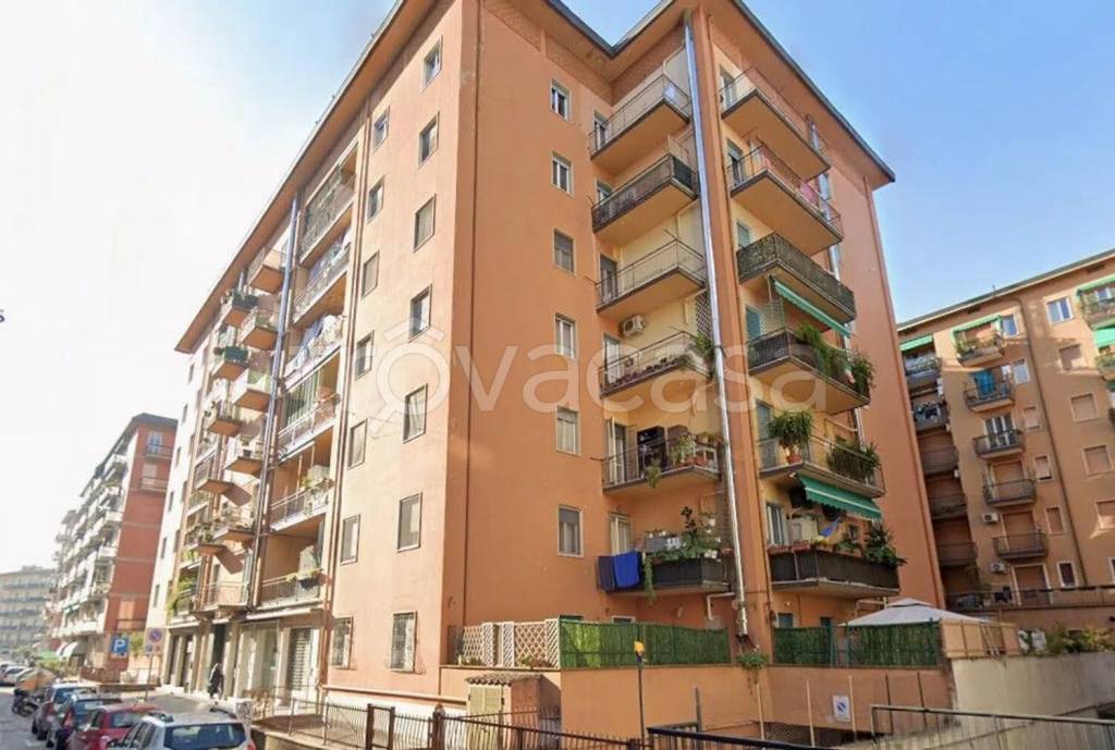 quadrivano in vendita a Verona