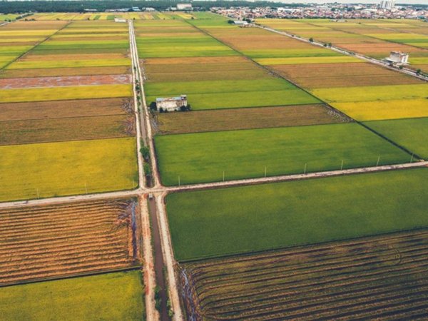 terreno agricolo in vendita a Verona in zona San Massimo all'Adige