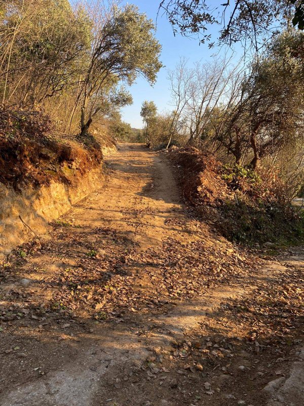 terreno agricolo in vendita a Verona in zona Quinzano