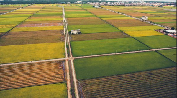 terreno agricolo in vendita a Verona in zona Borgo Milano