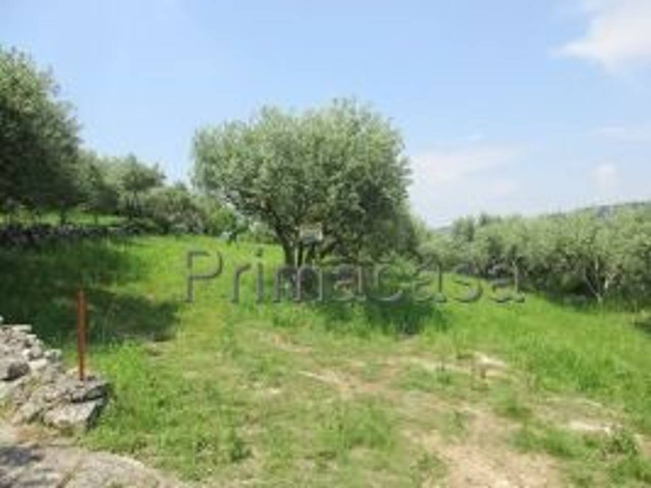 terreno agricolo in vendita a Verona in zona Quinzano