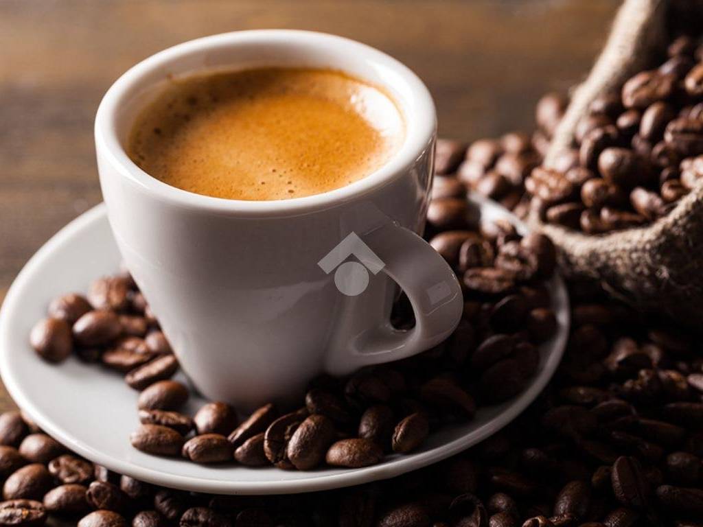 negozio in vendita a Verona in zona Borgo Trento