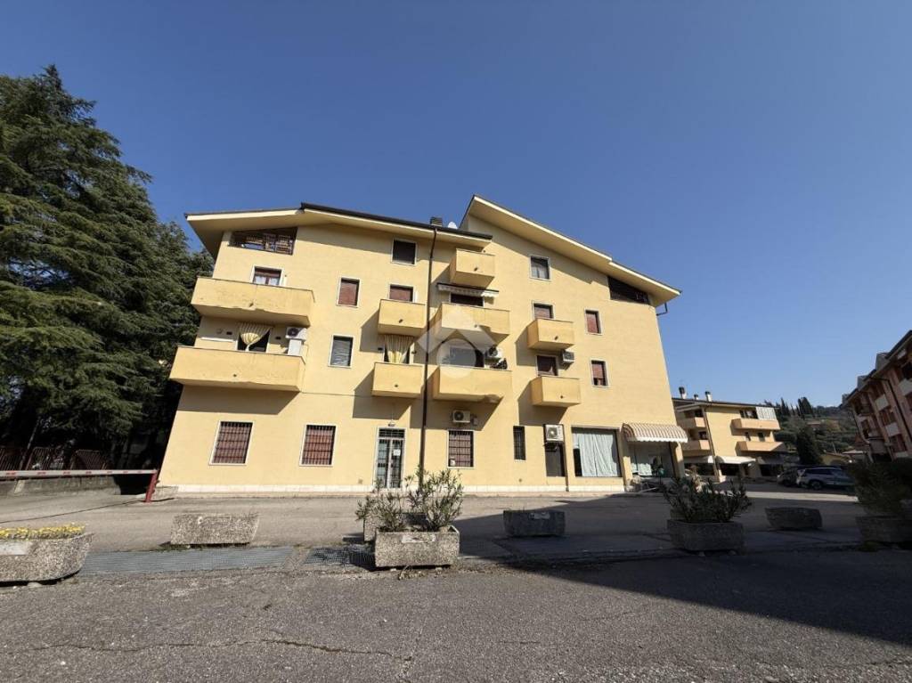 immagine annuncio 0 di 15