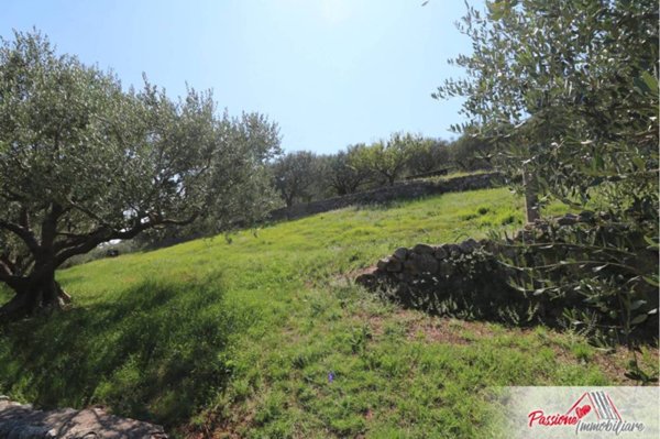 terreno agricolo in vendita a Verona in zona Avesa