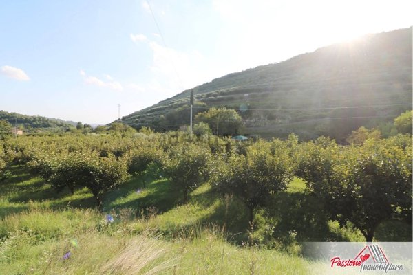 terreno agricolo in vendita a Verona in zona Avesa