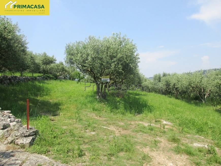 terreno agricolo in vendita a Verona in zona Quinzano