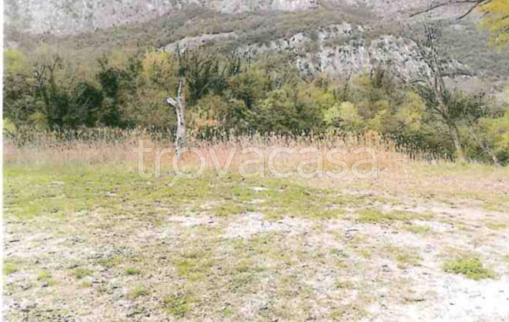 terreno agricolo in vendita a Verona in zona Cittadella