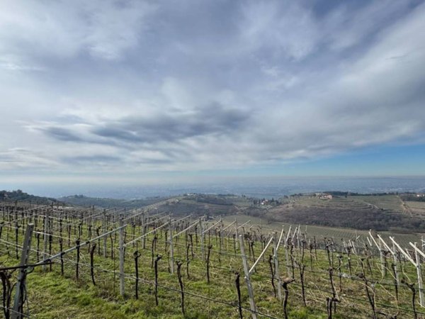 terreno agricolo in vendita a Verona in zona Quinzano