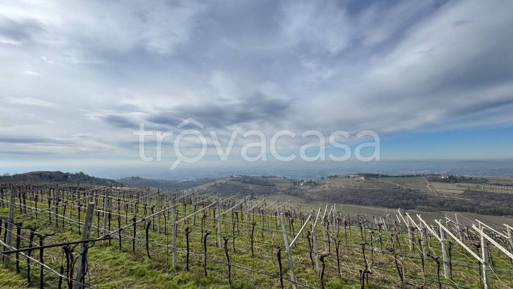 terreno agricolo in vendita a Verona in zona Quinzano