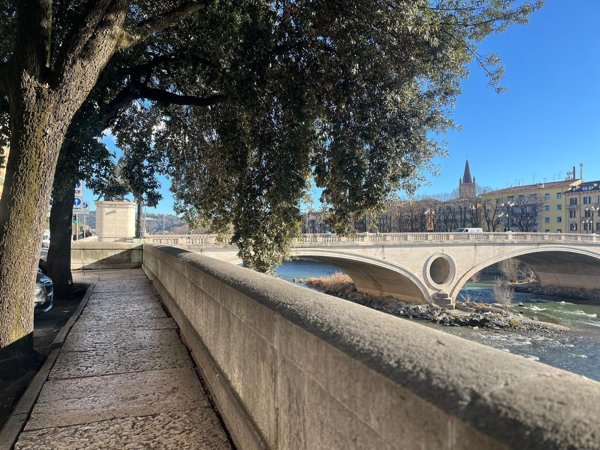 appartamento in vendita a Verona in zona Borgo Trento