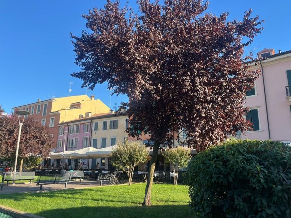 appartamento in vendita a Verona in zona Borgo Milano