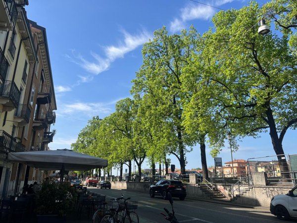 appartamento in vendita a Verona in zona Veronetta