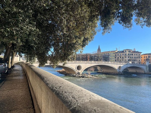 appartamento in vendita a Verona in zona Borgo Trento