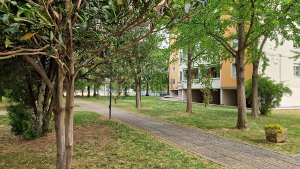 appartamento in vendita a Verona in zona Musicisti / Santa Croce