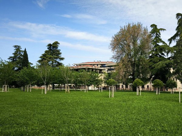 appartamento in vendita a Verona in zona Veronetta