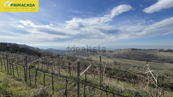 terreno agricolo in vendita a Verona in zona Quinzano