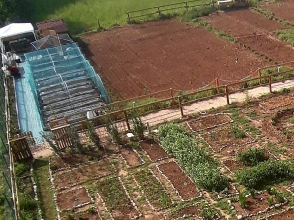terreno agricolo in vendita a Verona in zona Porto Crencano