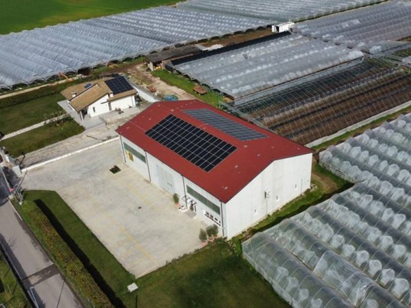 azienda agricola in vendita a Verona in zona Borgo Roma