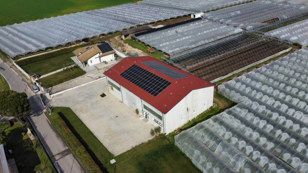 azienda agricola in vendita a Verona in zona Cadidavid