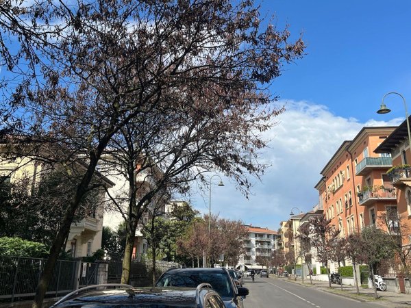 appartamento in vendita a Verona in zona Borgo Trento