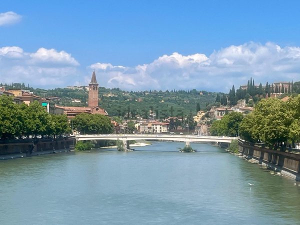 appartamento in vendita a Verona in zona Veronetta