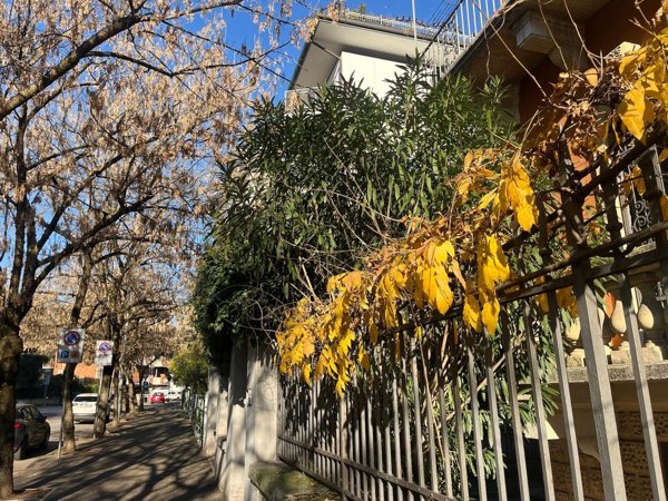 appartamento in vendita a Verona in zona Borgo Trento