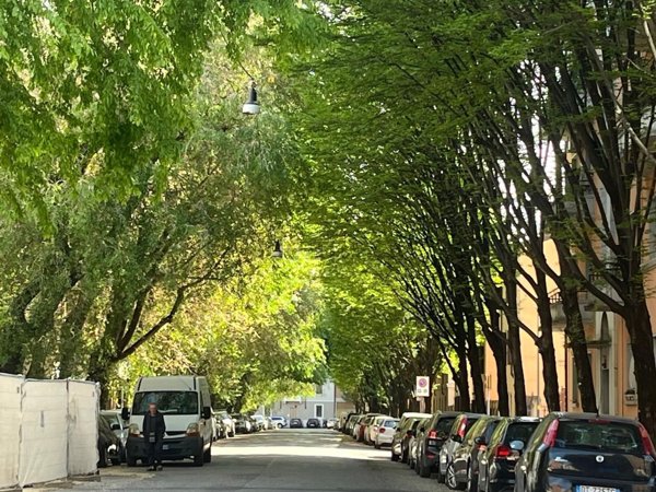 appartamento in vendita a Verona in zona Veronetta