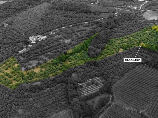 terreno agricolo in vendita a Verona in zona Centro Storico