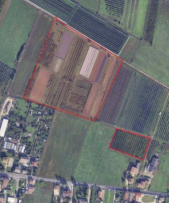 terreno agricolo in vendita a Verona in zona Chievo