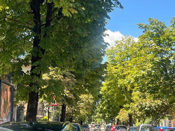 appartamento in vendita a Verona in zona Borgo Trento