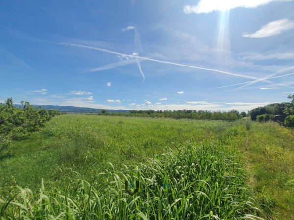 terreno agricolo in vendita a Verona in zona Borgo Milano