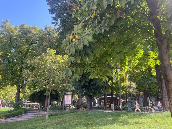 appartamento in vendita a Verona in zona Centro Storico