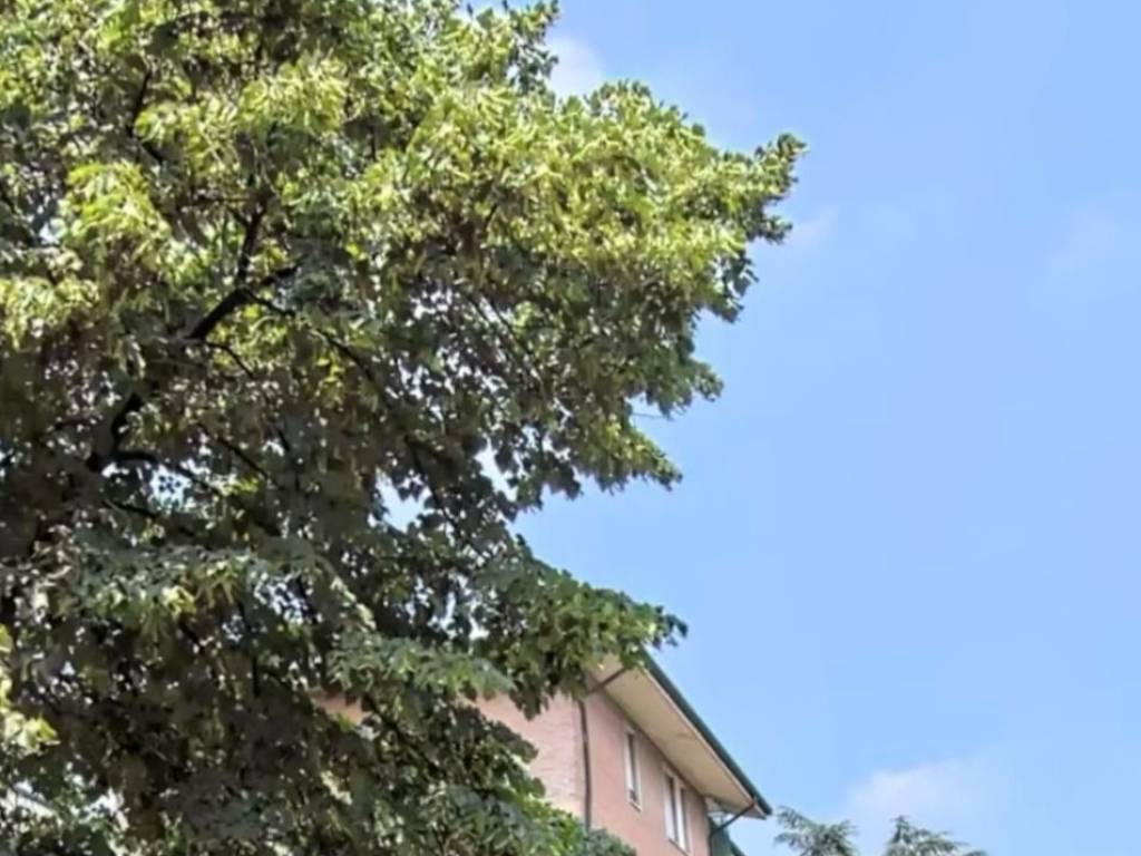 appartamento in vendita a Verona in zona San Pancrazio